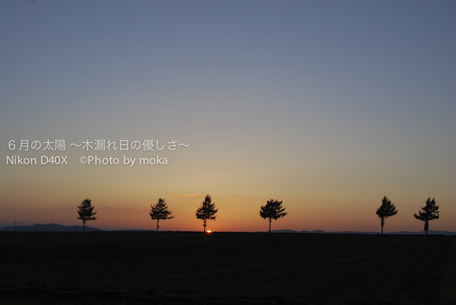 20100912-15_shiretoko164.jpg