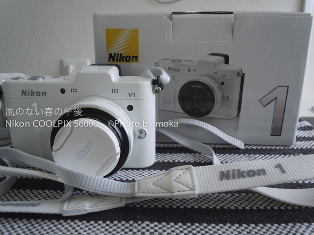 201200630_Nikon1.jpg