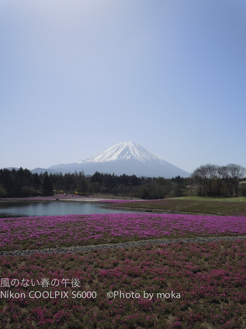 20120429_Mt.Fuji15.jpg