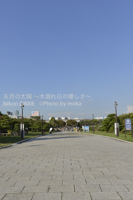 20120827_kasairinkai-park02.jpg
