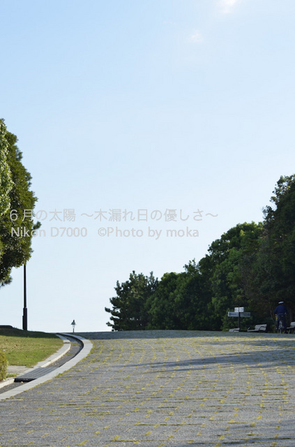 20120827_kasairinkai-park18.jpg