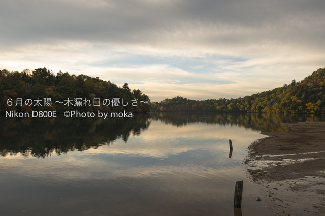 20121014_nikkou34.jpg