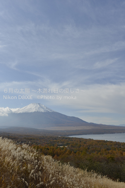 20121108_Mt.Fuji07.jpg