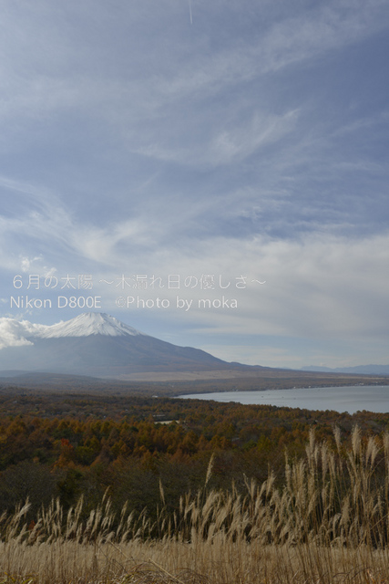 20121108_Mt.Fuji12.jpg