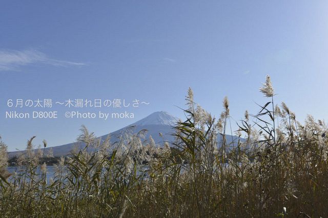 20121108_Mt.Fuji19.jpg