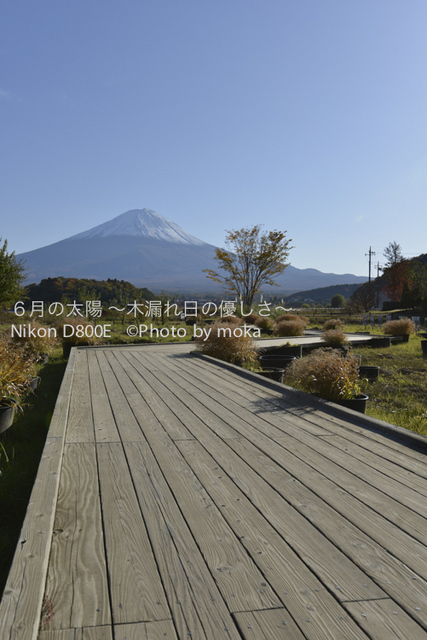 20121108_Mt.Fuji21.jpg