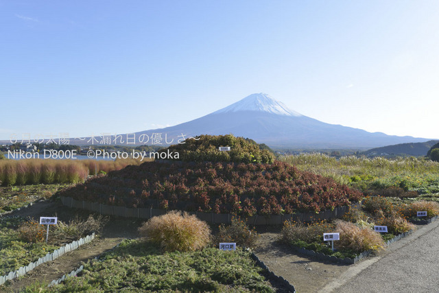 20121108_Mt.Fuji23.jpg