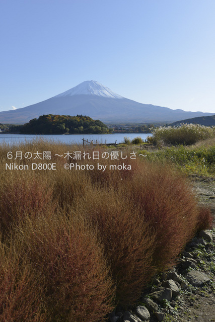 20121108_Mt.Fuji24.jpg