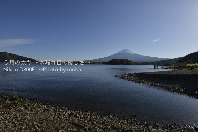 20121108_Mt.Fuji26.jpg