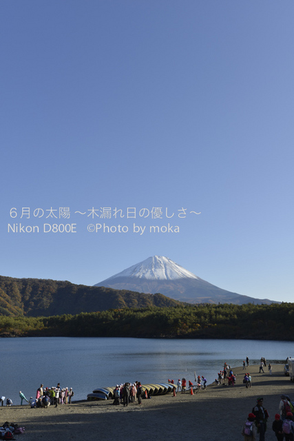 20121108_Mt.Fuji31.jpg