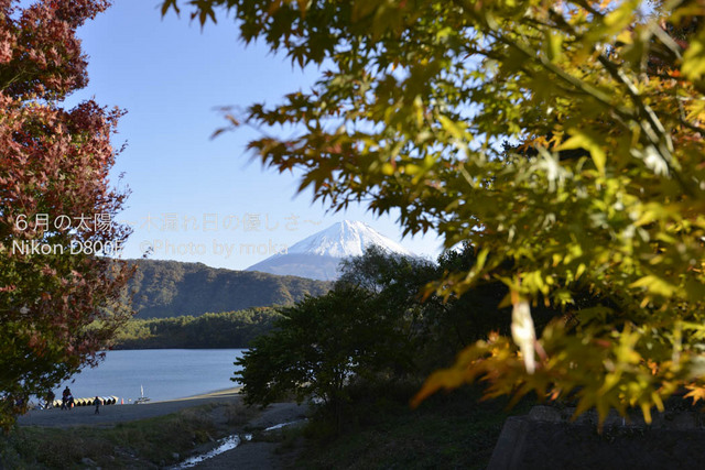 20121108_Mt.Fuji37.jpg