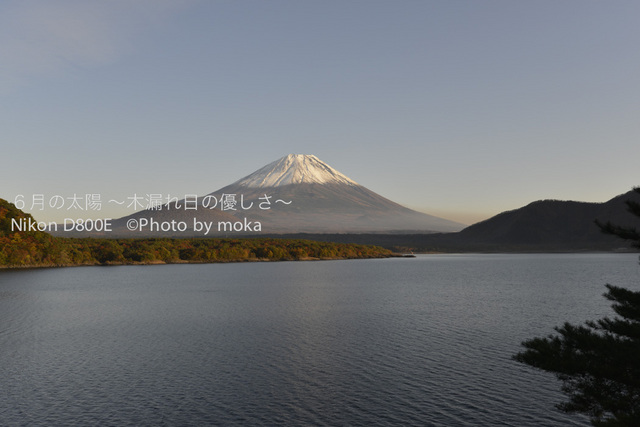 20121108_Mt.Fuji49.jpg