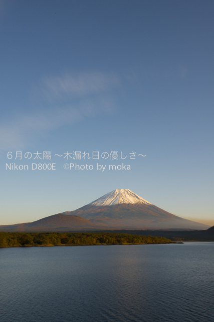 20121108_Mt.Fuji52.jpg