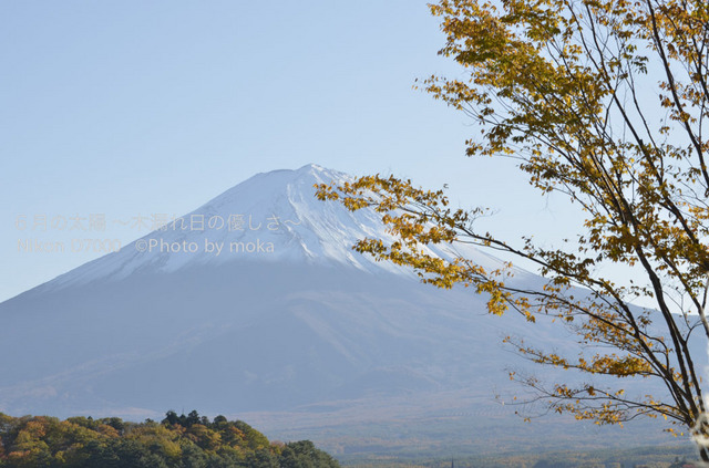 20121108_Mt.Fuji61.jpg
