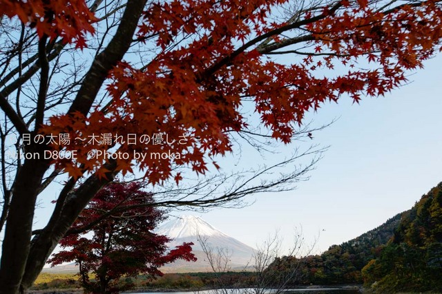 20121108_Mt.Fuji67HDRjpg.jpg