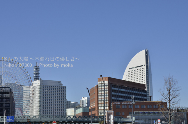 20121213_yokohama60.jpg