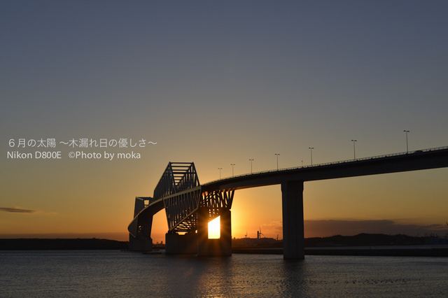 20121226_Tokyo-Gate-Bridge01.jpg