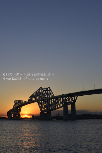 20121226_Tokyo-Gate-Bridge10.jpg