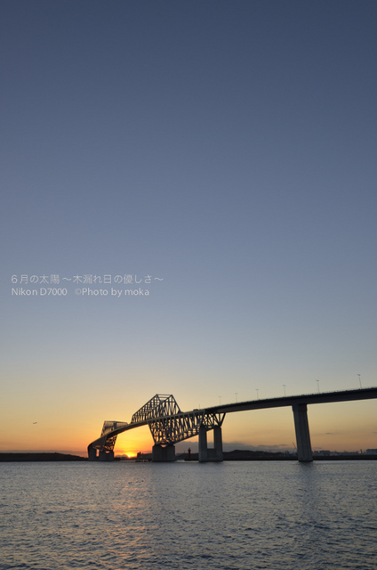 20121226_Tokyo-Gate-Bridge29.jpg