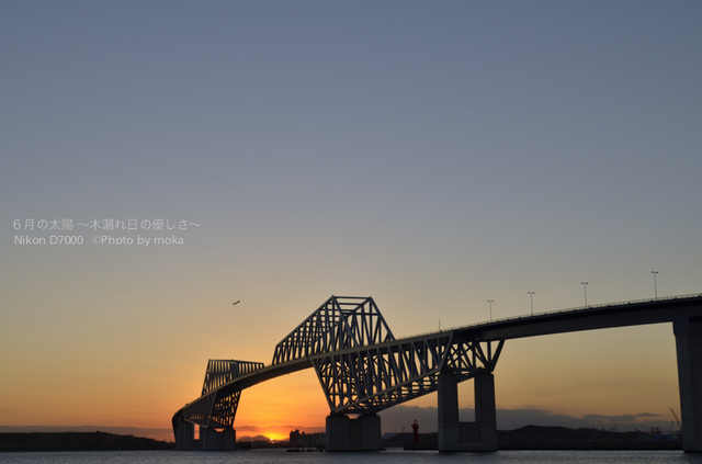 20121226_Tokyo-Gate-Bridge31.jpg