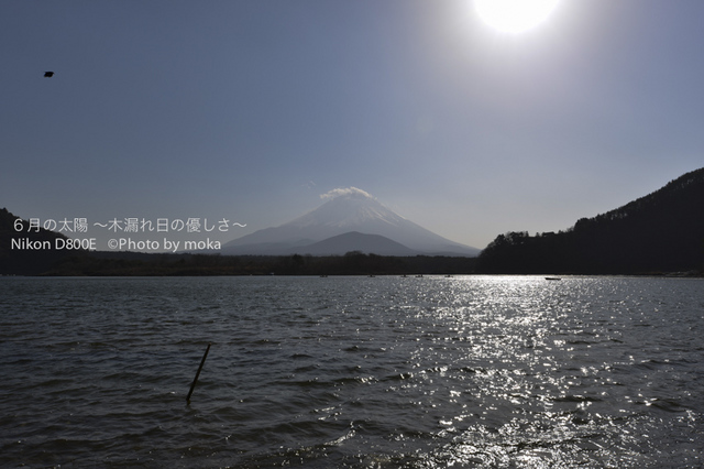20130102_Mt.Fuji34.jpg
