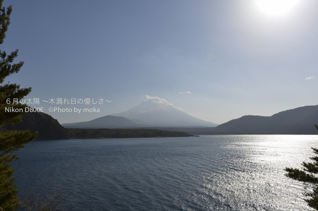 20130102_Mt.Fuji42.jpg