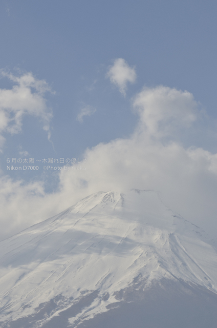 20130102_Mt.Fuji61.jpg