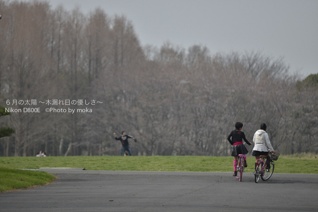 20130320_mizumoto-park12.jpg