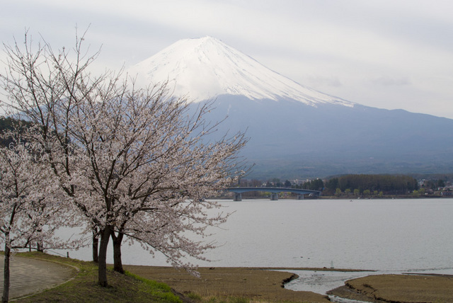 20130410_Mt.Fuji14.jpg