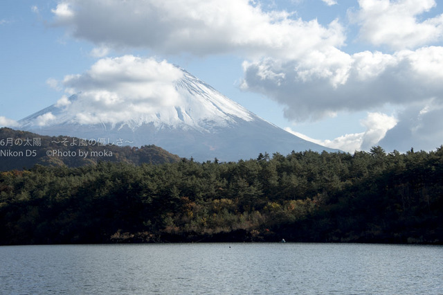 20161112_Mt.Fuji146.jpg